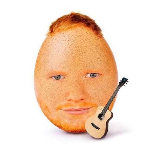 kitayleach
